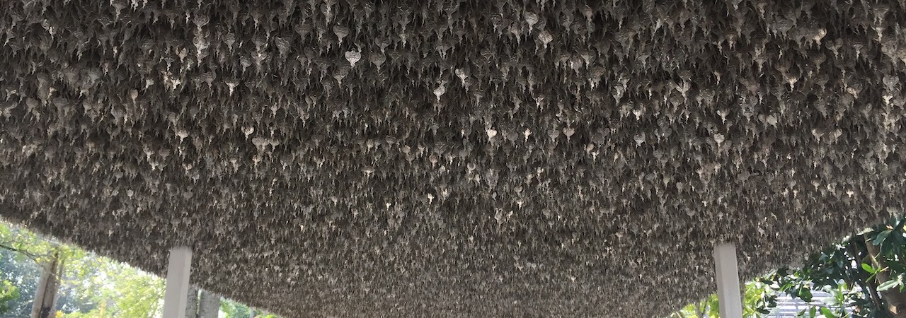 Est hic officiis eligendi asperiores in dolorem ad.